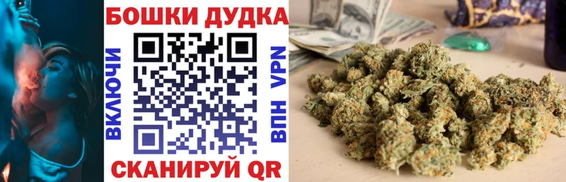 Каннабис SATIVA & INDICA  Кирсанов 